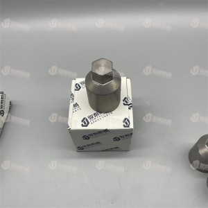 55152876 Spare Parts 0.5 CAP NUT rock drill